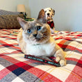 Load image into Gallery viewer, Best Cat Ever Cat Collar