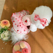 Cute Strawberry Dog Dress