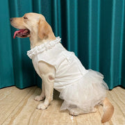 Big Dog Wedding Dress