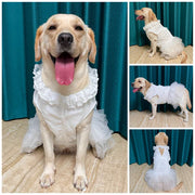 Big Dog Wedding Dress