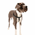 Load image into Gallery viewer, Black Freedom No-Pull Dog Harness