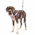 Load image into Gallery viewer, Rose Pink Freedom No-Pull Dog Harness