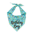 Load image into Gallery viewer, Birthday Boy Blue Polka