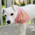 Load image into Gallery viewer, Birthday Girl Dog Bandana Gold Foil