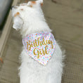 Load image into Gallery viewer, Birthday Girl Sprinkles Dog Bandana