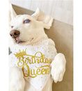 Load image into Gallery viewer, Birthday Queen Dog Bandana