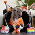Load image into Gallery viewer, Happy Birthday Pawty Hat Toy