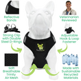 Load image into Gallery viewer, EcoBark Step In Dog Harness - XXXS to Small Breeds- Reflective Soft Mesh Harness for Teacup, Small Dogs and Puppies / Black