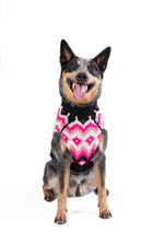Artic Pink Dog Sweater