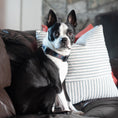 Load image into Gallery viewer, Black Tartan Dog Collar