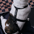 Load image into Gallery viewer, Frenchie Strap Harness - Solid Black