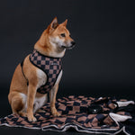 Frenchie Duo Reversible Harness - Black