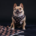 Load image into Gallery viewer, Frenchie Duo Reversible Harness - Black