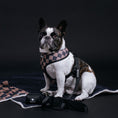 Load image into Gallery viewer, Frenchie Duo Reversible Harness - Black