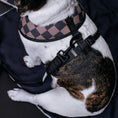 Load image into Gallery viewer, Frenchie Duo Reversible Harness - Black