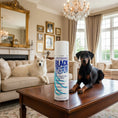 Load image into Gallery viewer, Black Ice Spray 3oz by Chris Christensen professional dog grooming tool Southlake Paws