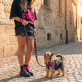 Load image into Gallery viewer, EcoBark Step In Dog Harness - XXXS to Small Breeds- Reflective Soft Mesh Harness for Teacup, Small Dogs and Puppies / Black w/ Pink Piping