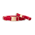 Load image into Gallery viewer, Blaze Dog Collar