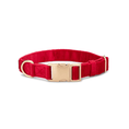 Load image into Gallery viewer, Blaze Dog Collar