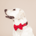 Load image into Gallery viewer, Blaze Dog Bow Tie