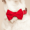 Load image into Gallery viewer, Blaze Dog Bow Tie