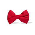 Load image into Gallery viewer, Blaze Dog Bow Tie