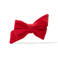 Load image into Gallery viewer, Blaze Dog Babe Bow