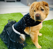 Bling Black Dog Party Dress