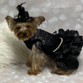 Load image into Gallery viewer, Bling Black Dog Party Dress - Southlake Paws