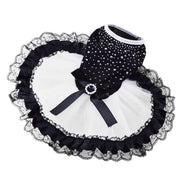 Bling Black & White Lace Dog Dress