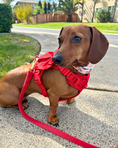 Load image into Gallery viewer, Wander! Multiway Leash - Cherry