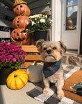 Load image into Gallery viewer, Blue Fall Flannel