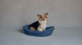 Load image into Gallery viewer, Timeless Dog Bed in Wren's Blueprint