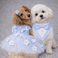 Load image into Gallery viewer, Blue Ceremony Tuxedo Bandana