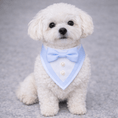 Load image into Gallery viewer, Blue Ceremony Tuxedo Bandana