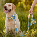 Load image into Gallery viewer, Blue Flower Dog Collar & Leash Set with Matching Poop Bag Case | Personalized Free - Southlake Paws