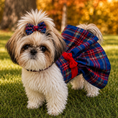 Load image into Gallery viewer, Red/Blue Plaid Dress