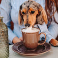 Load image into Gallery viewer, Stripe Long-Sleeve Button-Down Dog Dress Shirt - Southlake Paws