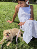 Load image into Gallery viewer, Susan Leash - Blush Pink