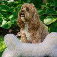 Load image into Gallery viewer, HuggleFleece® 2' Plush Bone Dog Toy - image 4