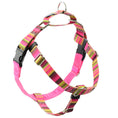 Load image into Gallery viewer, Bonnie Freedom No-Pull Dog Harness – EarthStyle