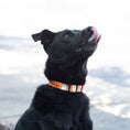 Load image into Gallery viewer, You're My Boo Printed Dog Collar - Option A | Words