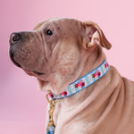 Bouquet Wide Dog Collar
