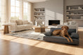 Load image into Gallery viewer, Bowsers Scandinave Flint Pet Sofa - Furniture-Level Comfort for Dogs