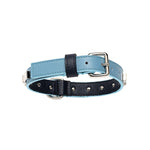 Breeze Bi-Color Dog Collar