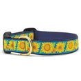 Load image into Gallery viewer, Up Country Bright Sunflower Cast Brass Dog Collar