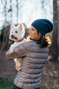 Load image into Gallery viewer, Brown Stripe Small Breed Dog Collar