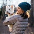 Load image into Gallery viewer, Brown Stripe Dog Collar