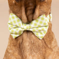 Load image into Gallery viewer, Bryce Dog Bow Tie