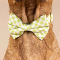 Load image into Gallery viewer, Bryce Dog Bow Tie